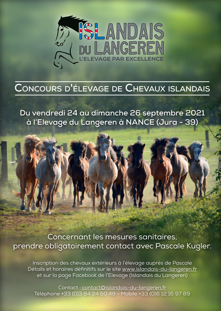 Islandais du Langeren - Actus