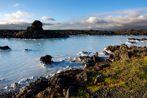 Islandais du Langeren